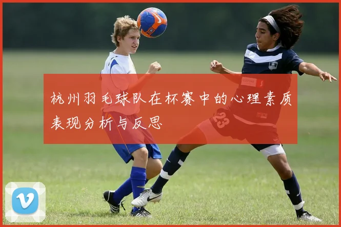 杭州羽毛球队在杯赛中的心理素质表现分析与反思