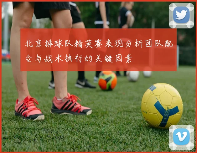 北京排球队精英赛表现分析团队配合与战术执行的关键因素