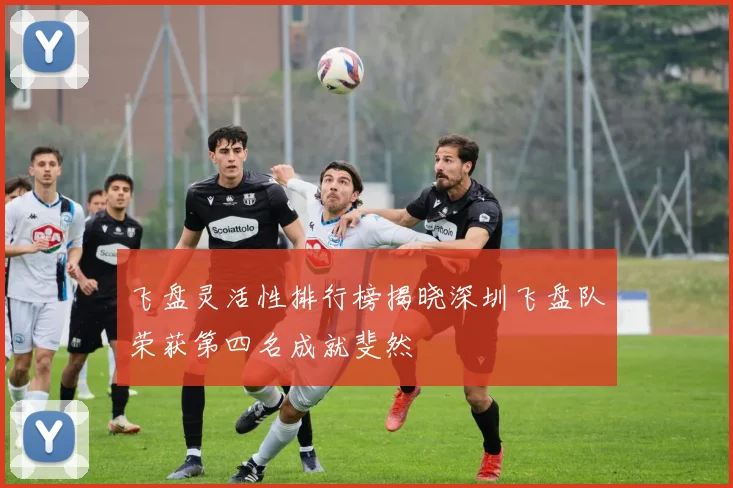 飞盘灵活性排行榜揭晓深圳飞盘队荣获第四名成就斐然