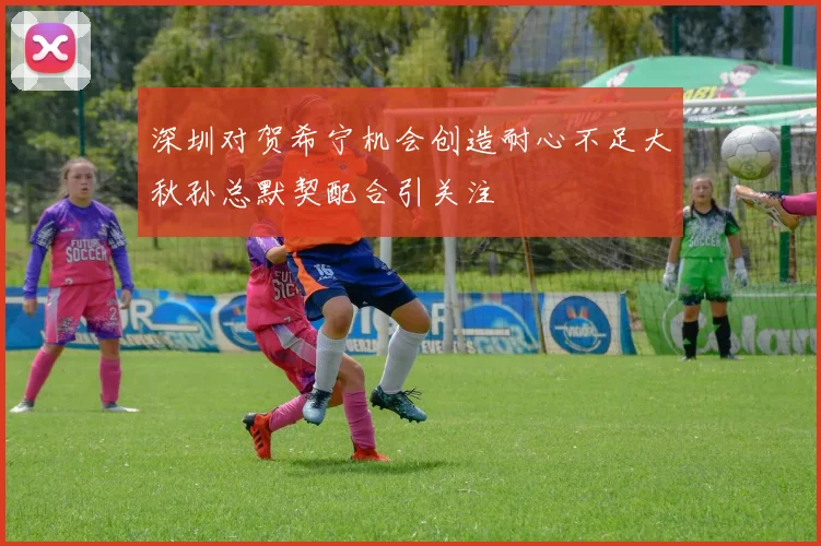 深圳对贺希宁机会创造耐心不足大秋孙总默契配合引关注
